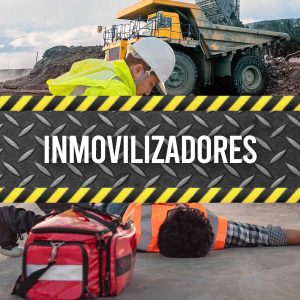 Inmovilizadores