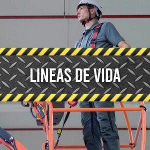 Líneas de Vida