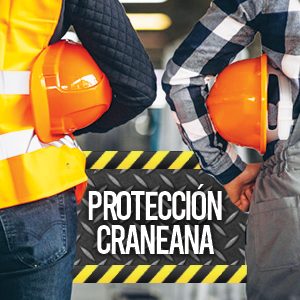 Protección Craneana